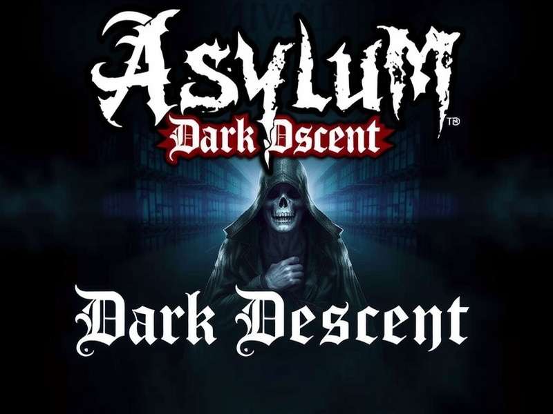 Asylum Dark Descent Game Cover